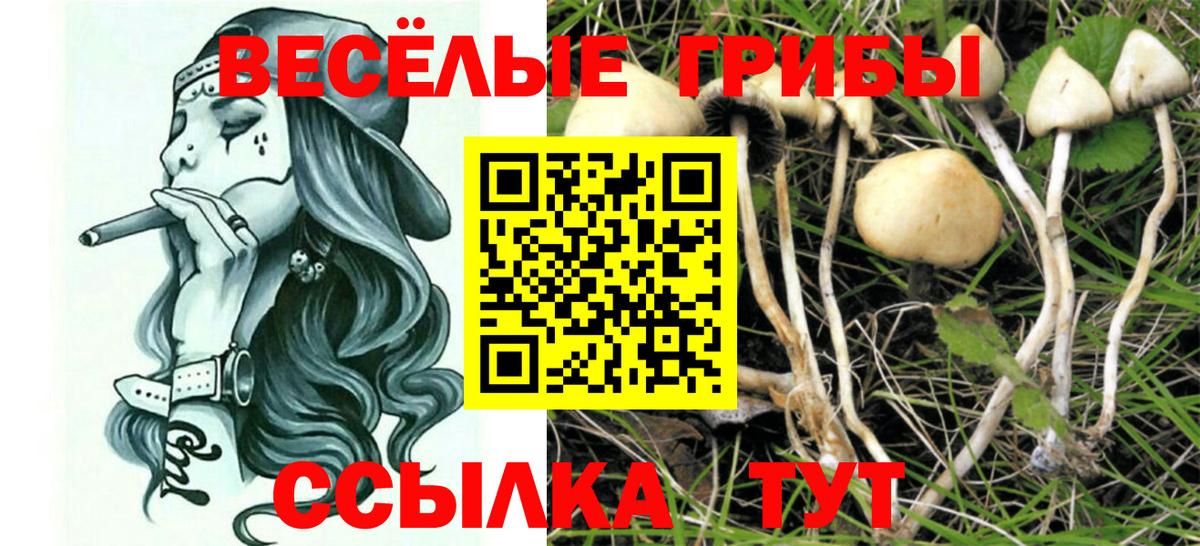 Галлюциногенные грибы GOLDEN TEACHER  Галлюциногенные грибы мицелий  Клин  Вход с VPN 